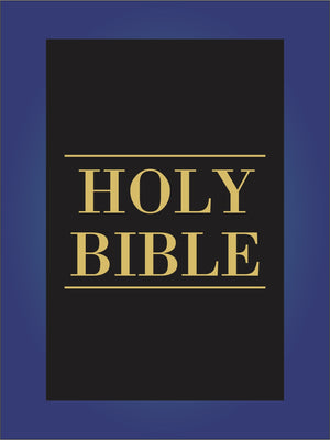 HOLY BIBLE COLORING BOOK Large