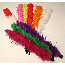 Color Changing Feather Plumes
