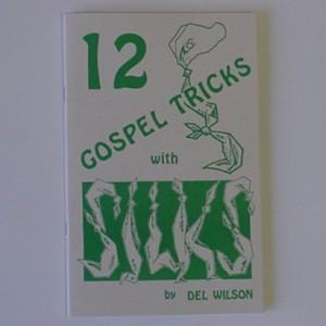 12 GOSPEL TRICKS WITH A SILK book