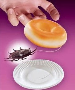 Bagel and Cockroach Surprise