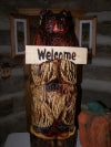 Chainsaw Carving Bear and Pumkin DVD
